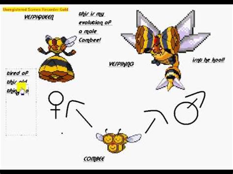 combee evolution chart